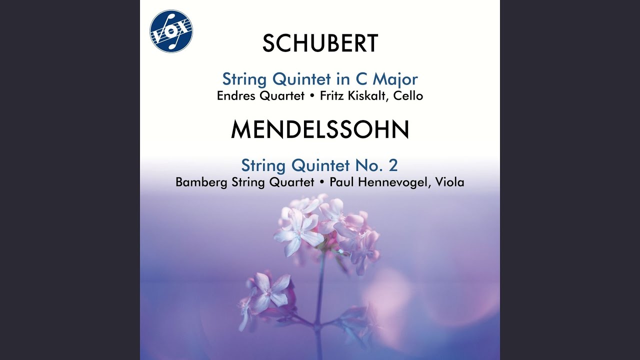 String Quintet in C Major, Op. 163, D. 956: II. Adagio