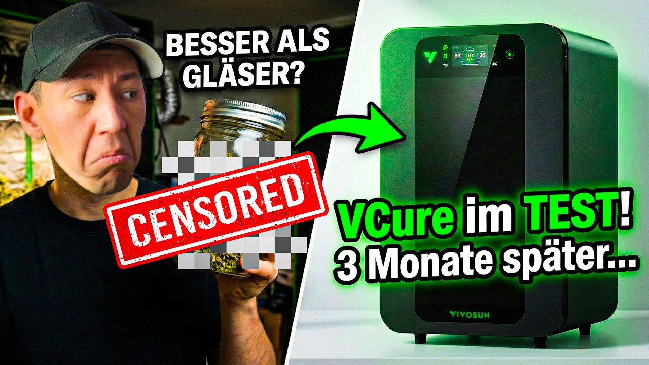 Ich habe meine Ernte der VCure anvertraut... 😱 DAS IST PASSIERT!