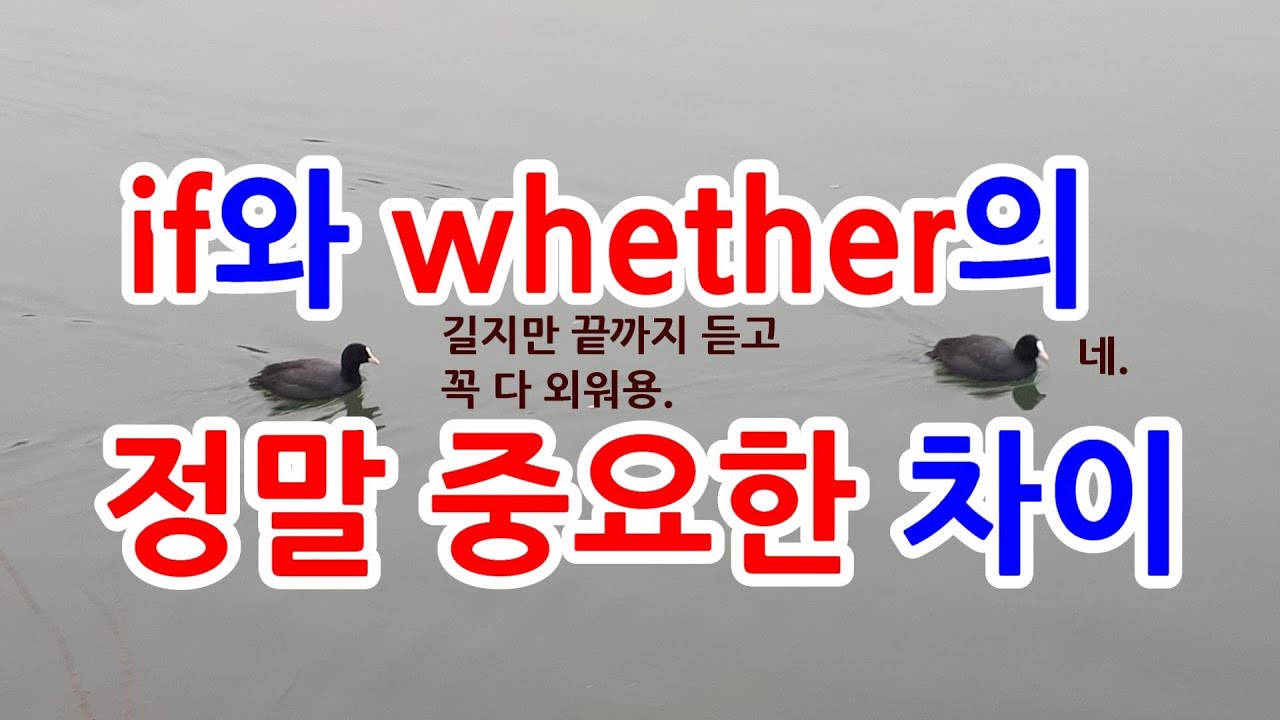 '~인지 아닌지' if와 whether의 차이, 길고 힘들어도 꼭, 다 듣고  문장들을 외워 두세요.