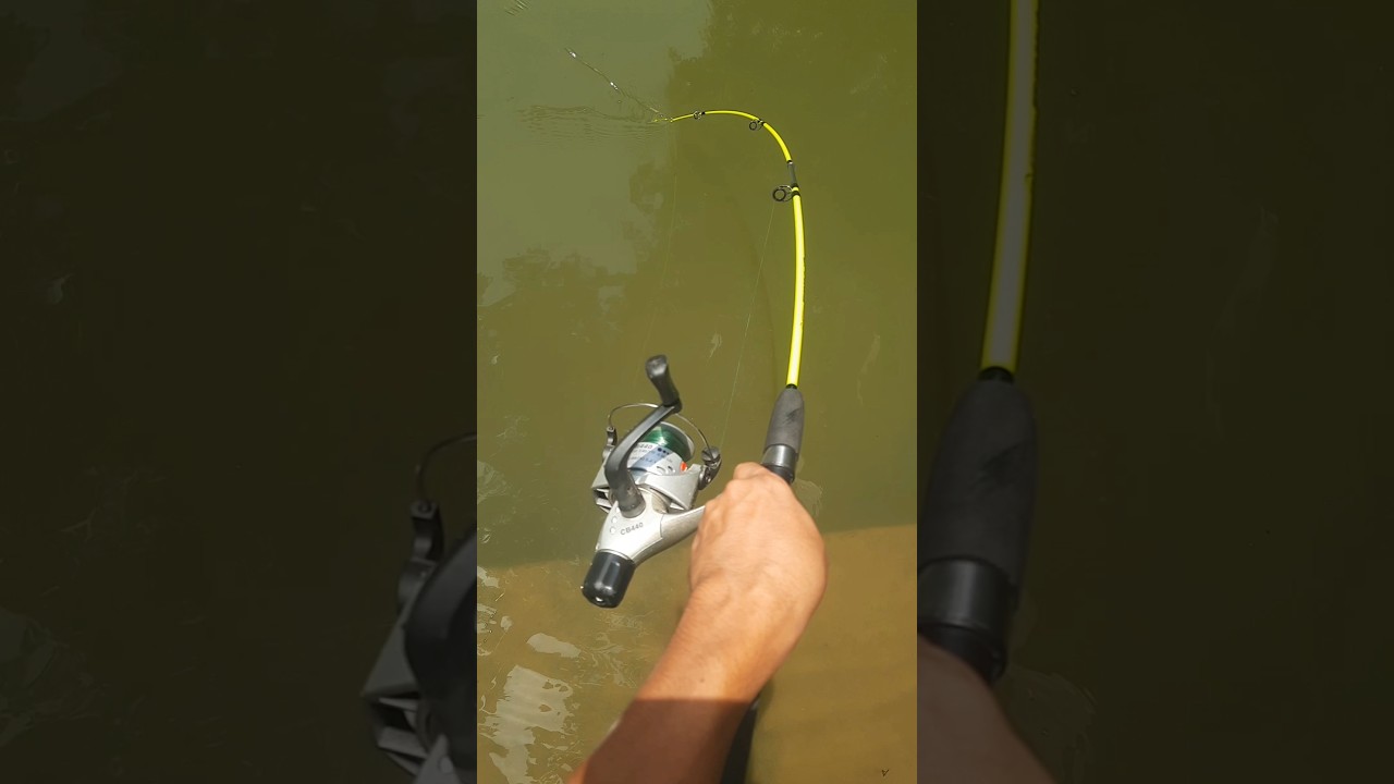 Flexible Fishing rod #fishing #fishingrod