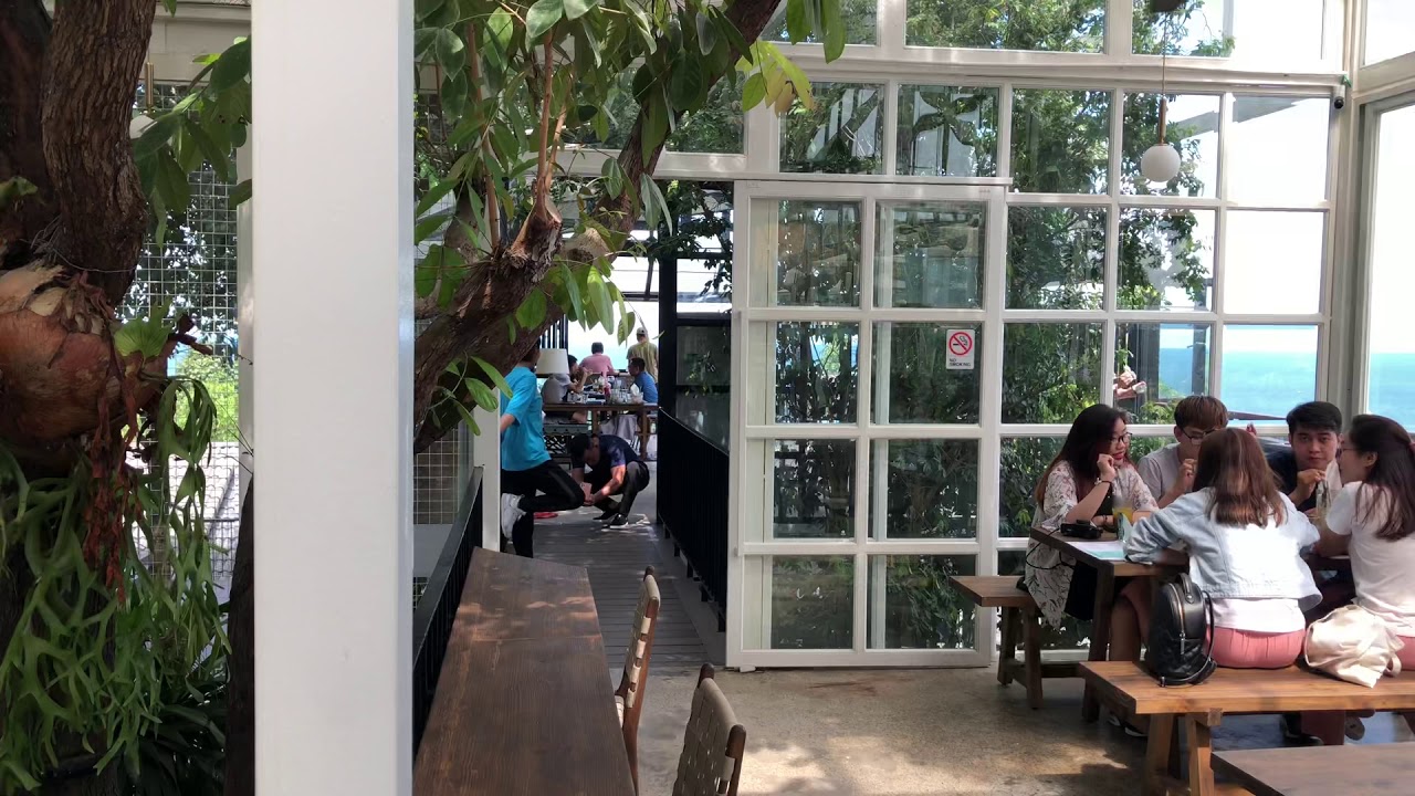 Chuồn chuồn cafe Ph&uacute; Quốc