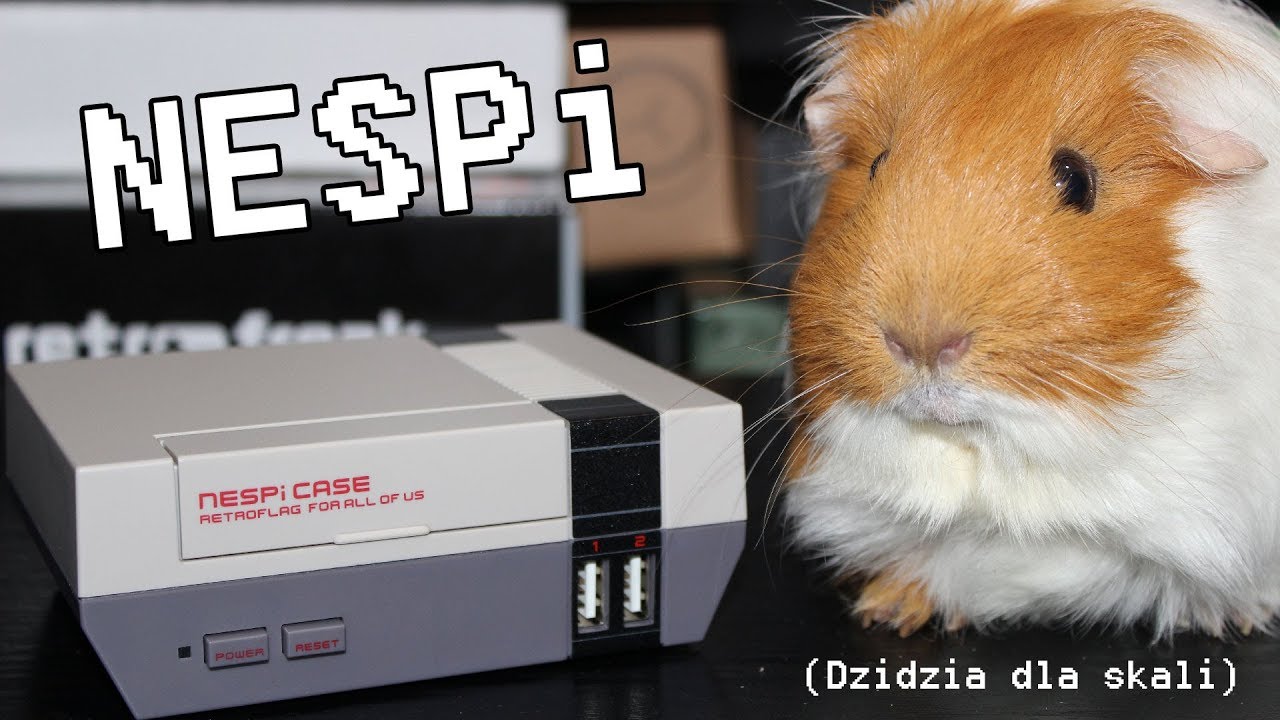 Własna konsola z NesPi + Raspberry Pi
