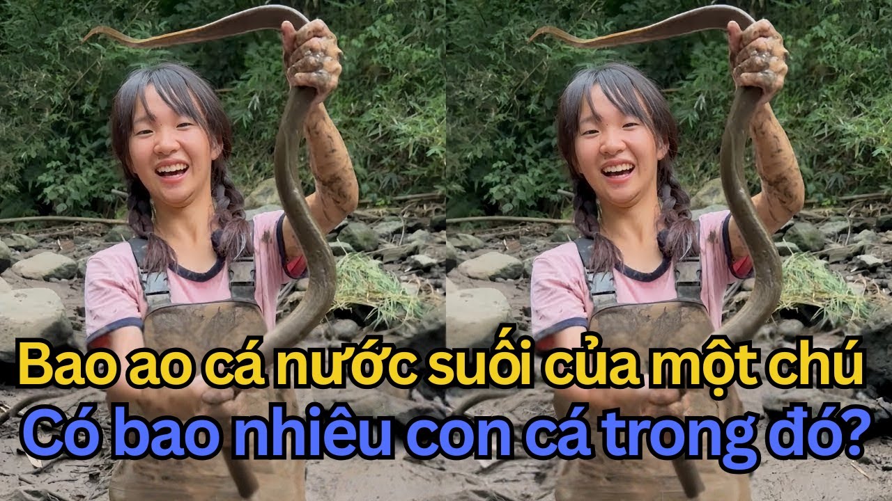 Ao Cá NƯỚC SUỐI, Tưởng Lỗ Sấp Mặt Ai Ngờ 