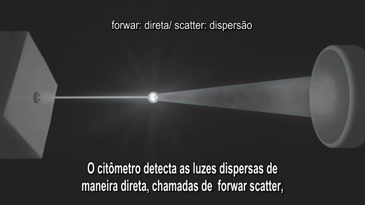 Citometria de Fluxo Animação