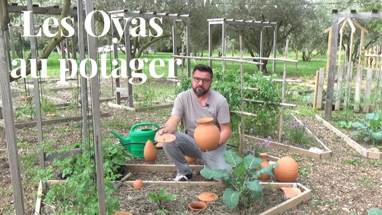 Les Oyas au potager.