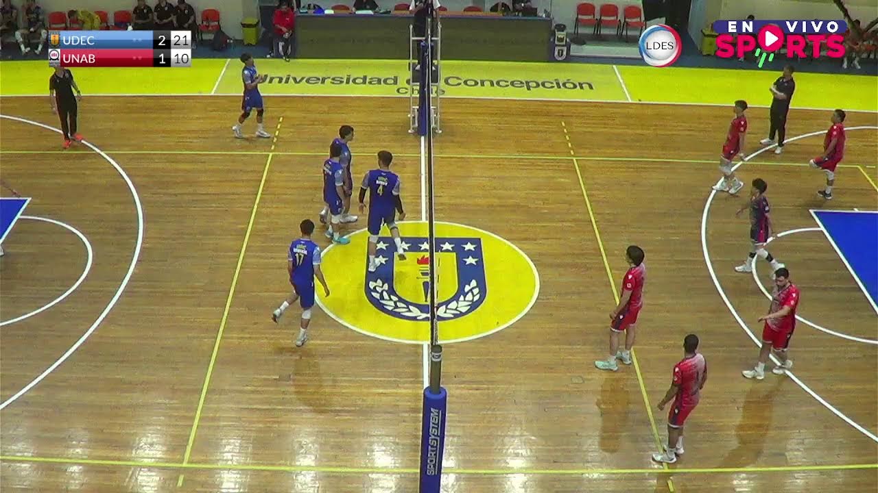 FINAL ADESUP/LDES 2025 VOLEIBOL VARONES