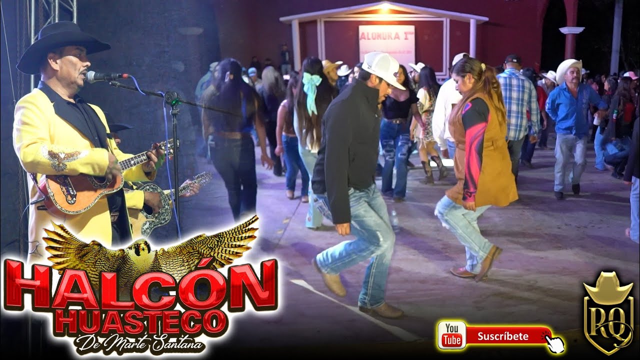 Halcon Huasteco el desterrado y el Zopilotito desde Alamos San Joaquin 