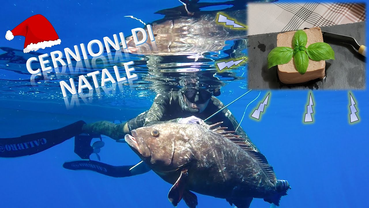 Cernioni profondi con ricetta omaggio