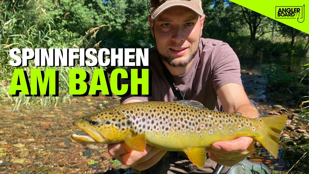 Angeln auf Forellen am Bach | Tipps f&uuml;r Bachforellen | Spinnfischen mit Wobblern | ANGLERBOARD TV