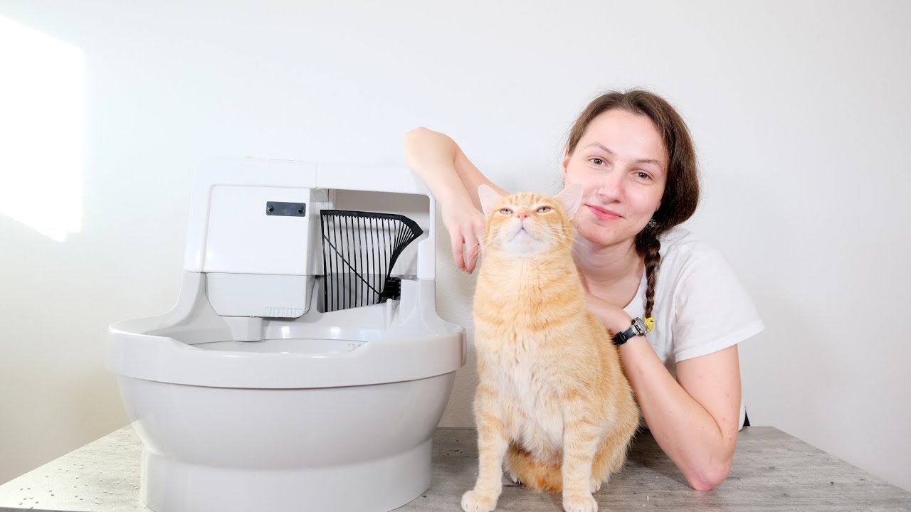 CatGenie A.I. Self-Flushing Automatic Litter Box Review (We Tried it for 3 Weeks)