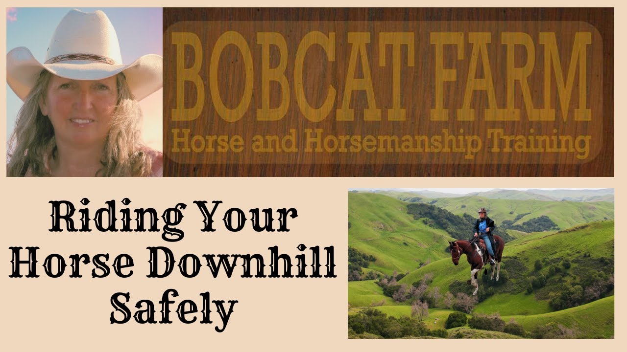 Riding Your Horse Downhill Safely