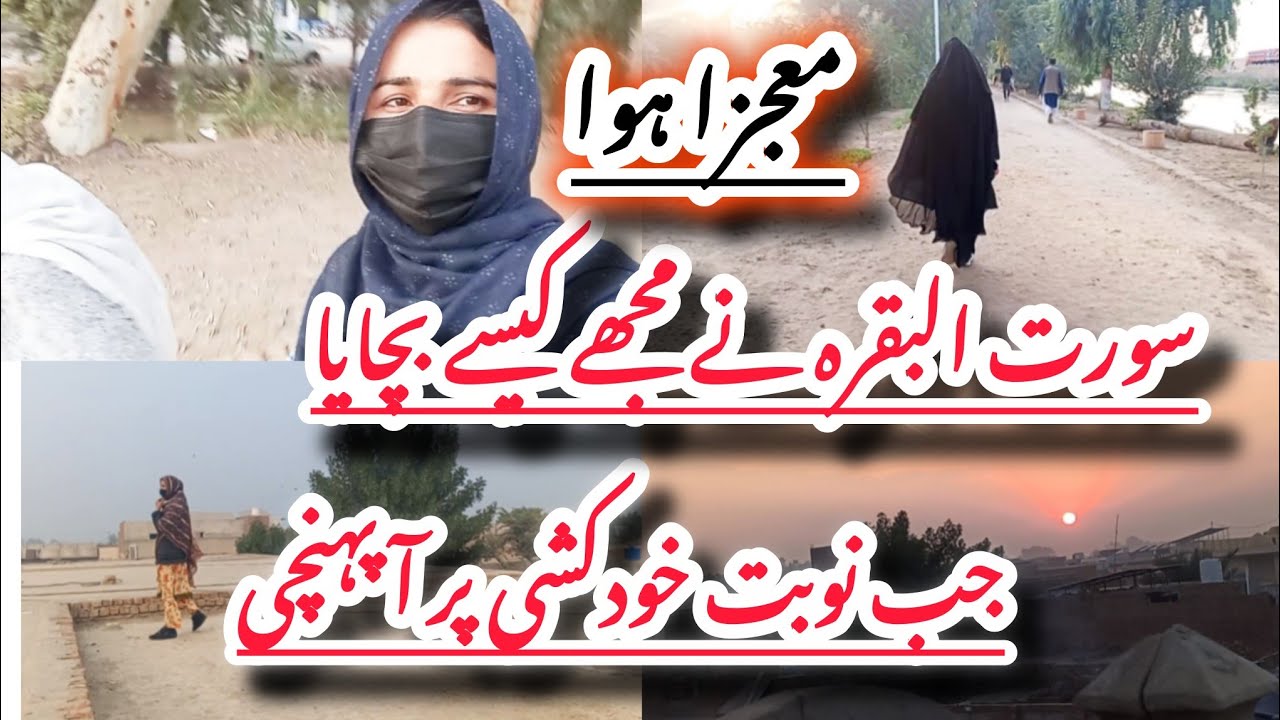 My Miracle Story/Surah baqarah ki fazilat/how to read surah baqarah 