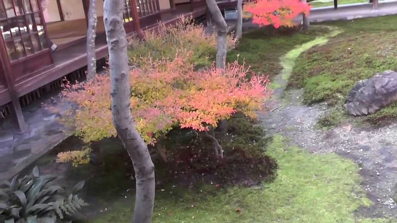 建仁寺 その2 潮音庭 京都の紅葉名所　Kennin-ji Temple autumn leaves attractions in Kyoto part.2