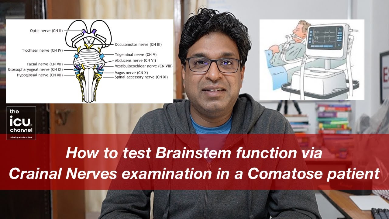 How to test Brainstem function via Cranial Nerves examination in a Comatose patient