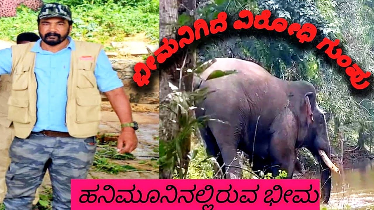 ಭೀಮನಿಗಿದೆ ವಿರೋಧಿ ಗುಂಪು. ಹನಿಮೂನಿನಲ್ಲಿರುವ ಭೀಮ