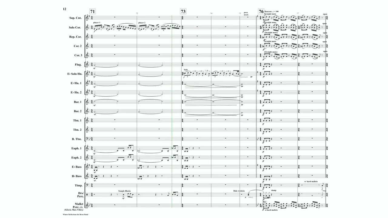 Winter Reflections Brass Band Score  2022