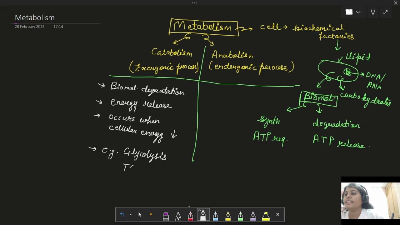 Metabolism Simplified | Catabolism vs Anabolism Explained Clearly