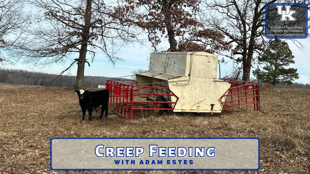 Creep Feeding
