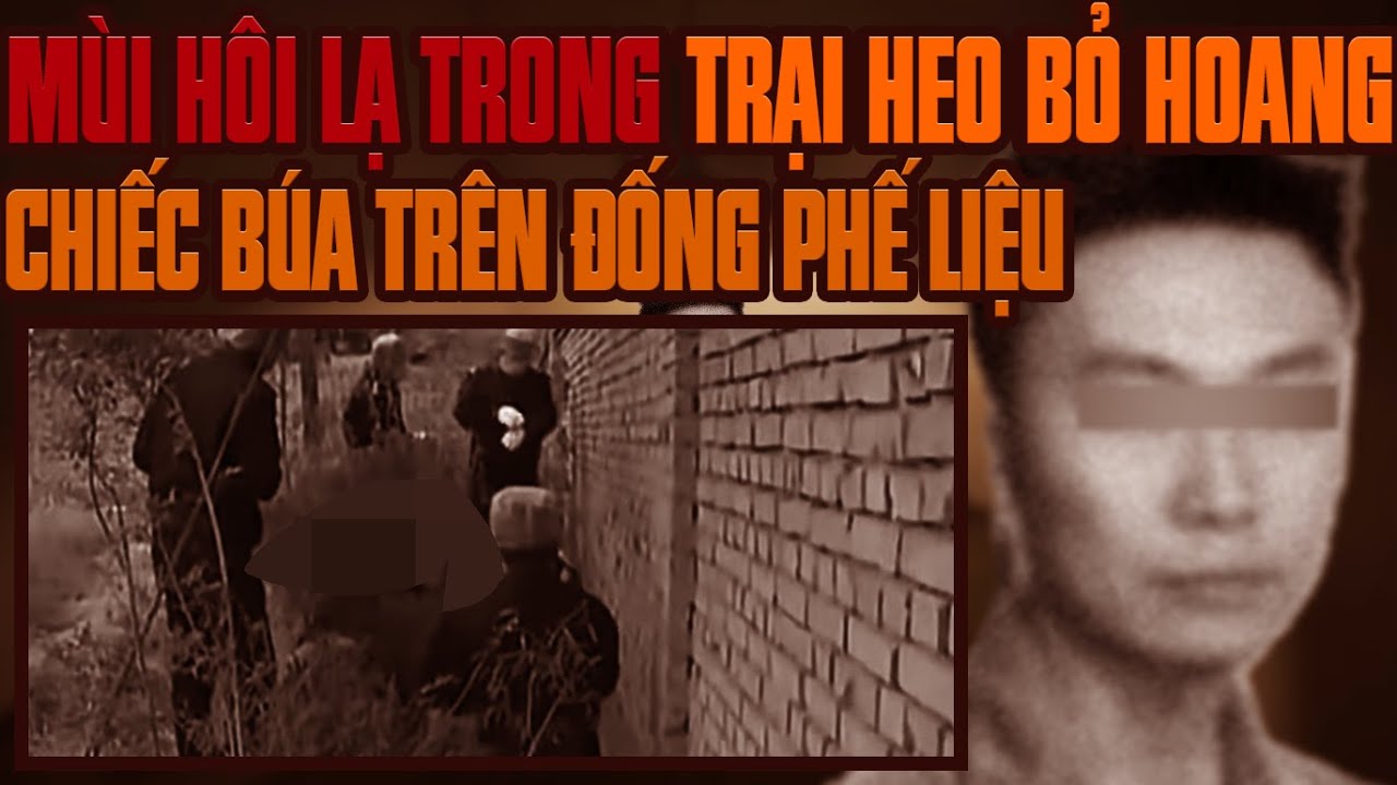 Kỳ Án Trung Quốc: Kỳ Án Trung Quốc: Mùi Hôi Kinh Hoàng Trong Trại Heo Bỏ Hoang