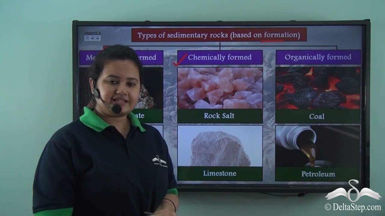 Types of sedimentary rocks