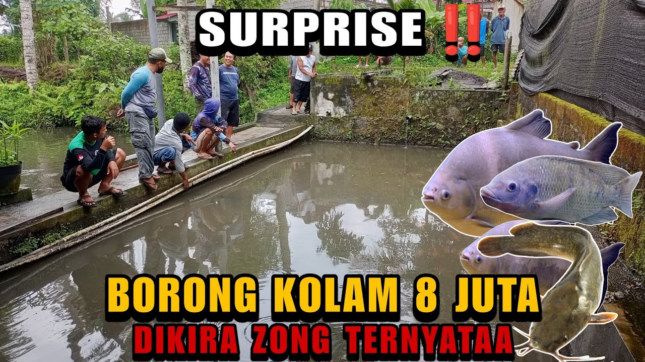 8 JUTA ‼️ BORONGAN SEPERTI INI YG DIINGINKAN PARA PEMANCING.#mancing #mancingmania 