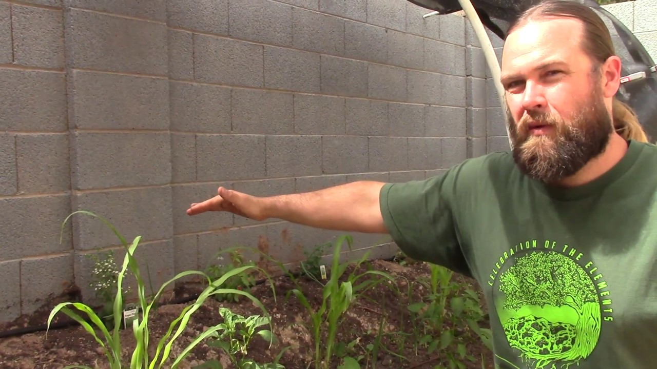 Growing Food in the Desert: A Backyard Garden by Earth Care Design