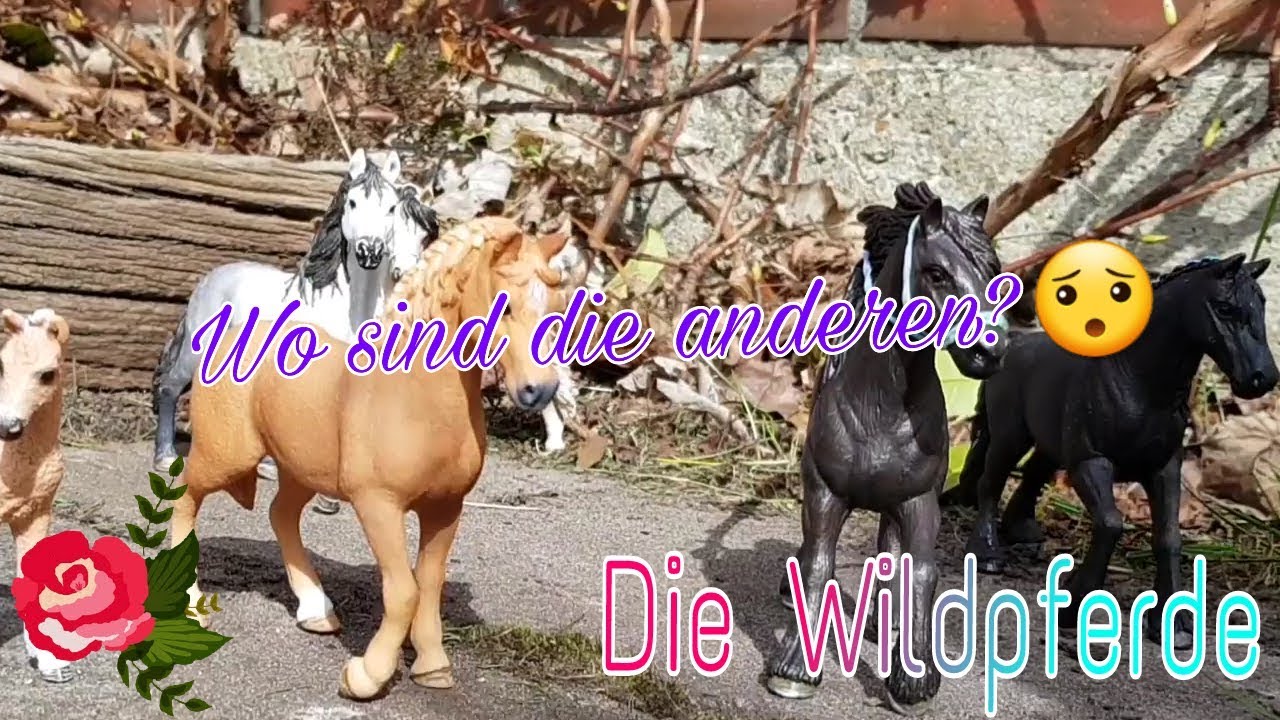 Schleichserie||Die Wildpferde #2