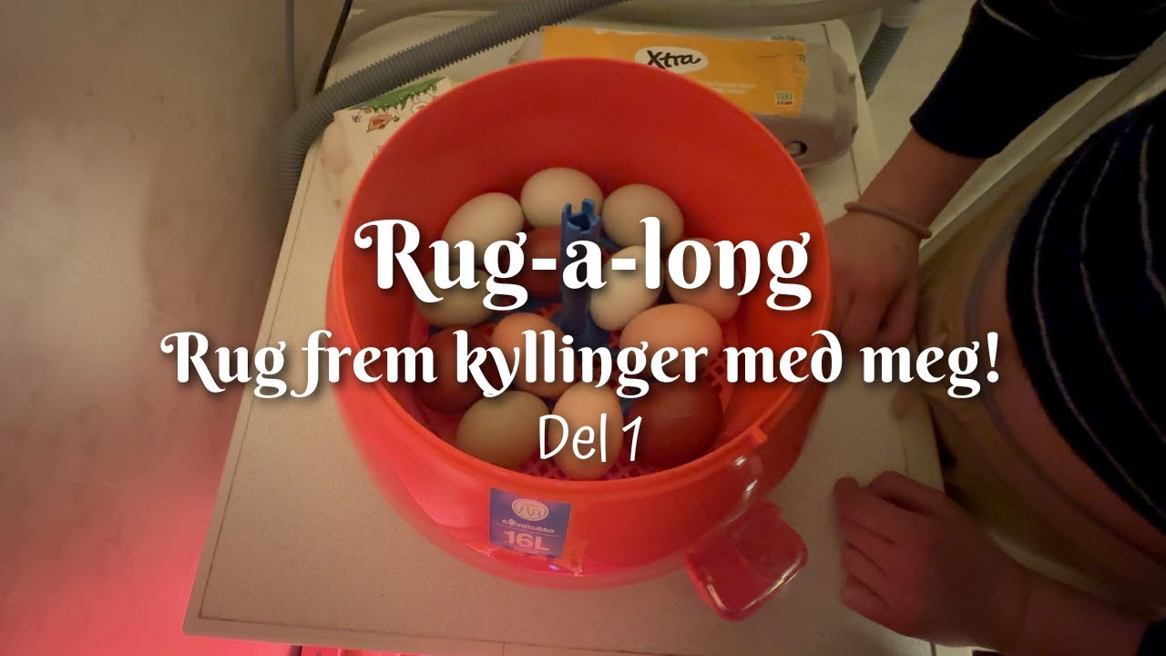 Rug-a-long del 1 - Rug frem kyllinger med meg!