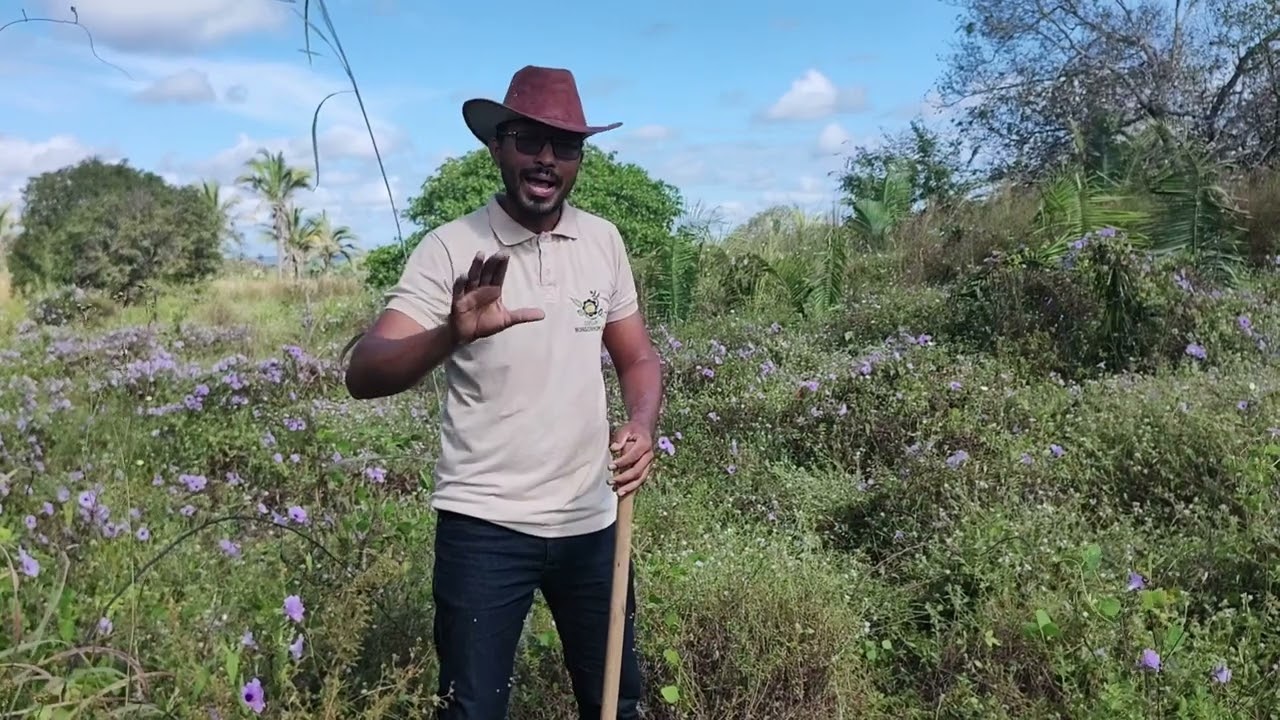 Análise de solo para o plantio de maracujá