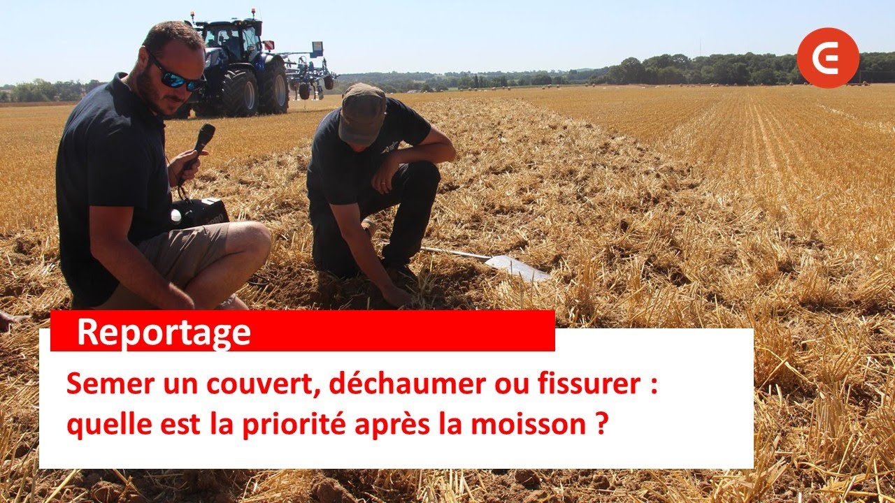 QUE CHOISIR - Semer un couvert, d&eacute;chaumer ou fissurer : quelle priorit&eacute; apr&egrave;s la moisson ?