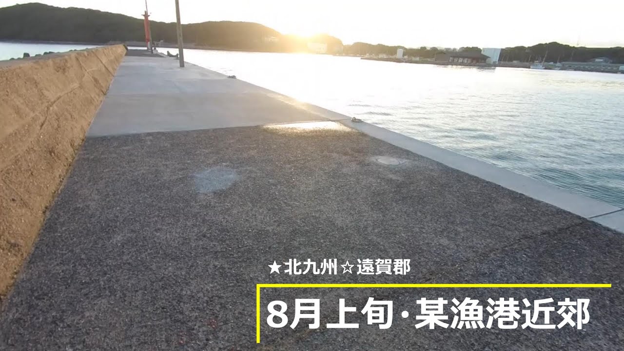 【キス釣り】☆ちょい投げでよく釣れてます♪
