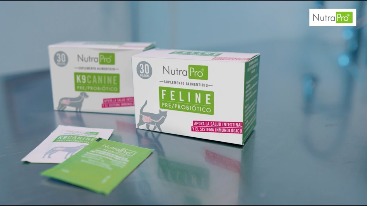 NutraPro® K9 Canine y Feline - Suplemento para mascotas con pre y probióticos