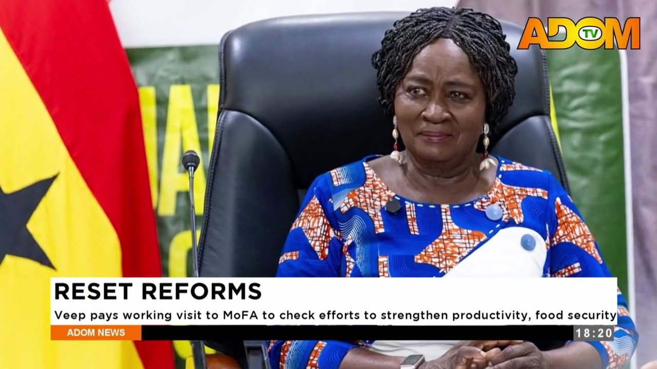 Veep pays working visit to MoFA to check efforts to strengthen productivity, food security - News