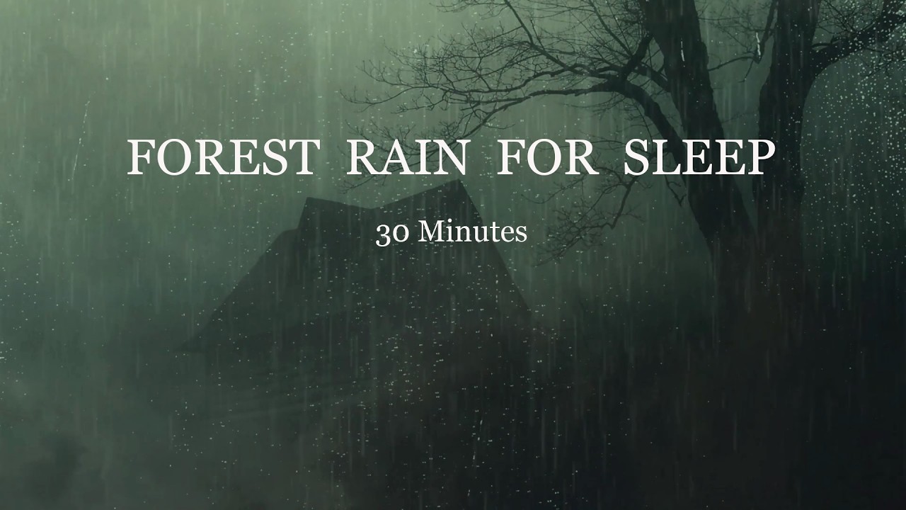 🌧️ Fall Asleep Fast with Gentle Rain | 30 Minutes Rain Sound for Deep Sleep