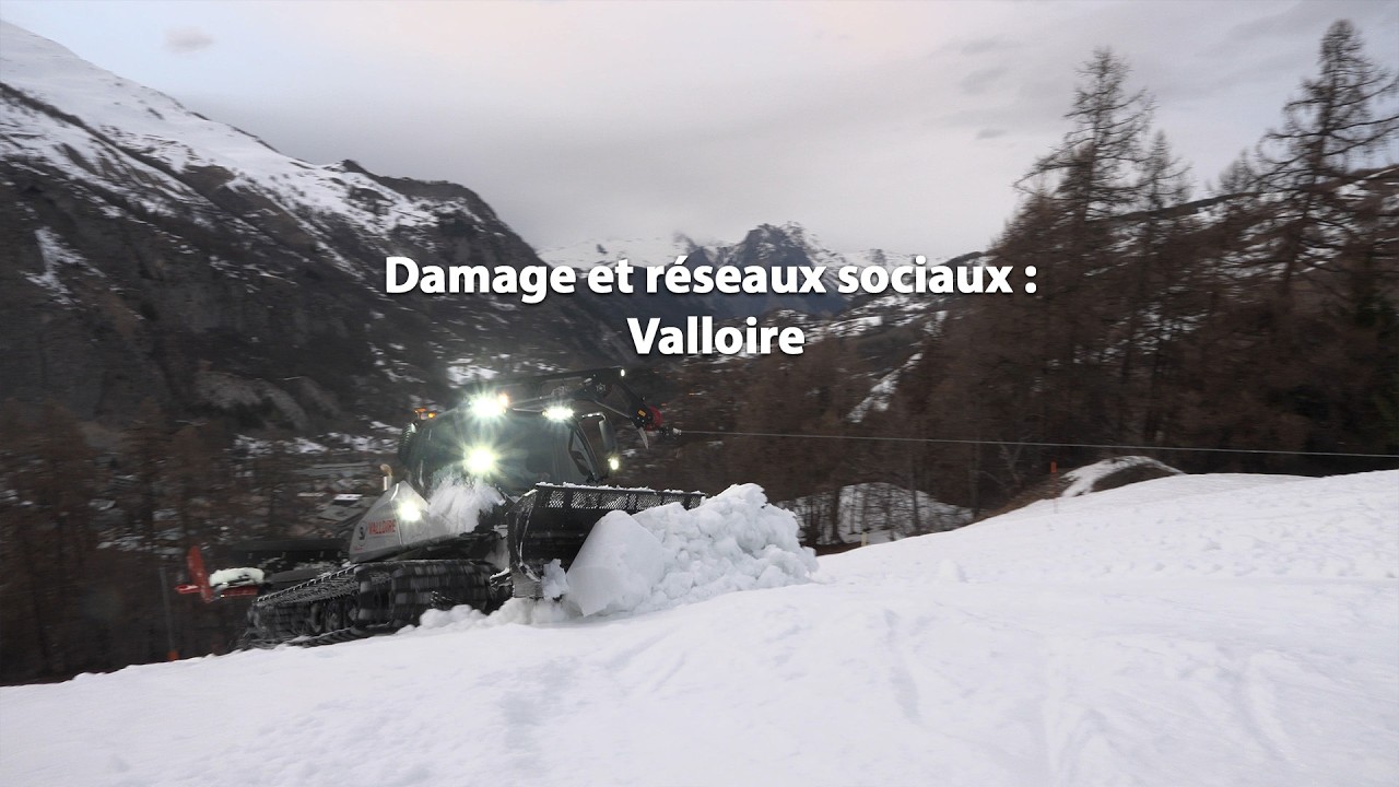 Damage et réseaux sociaux