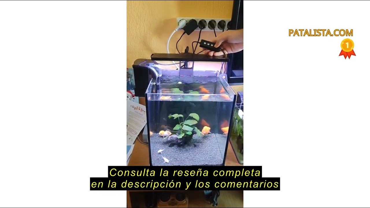Reseña del hygger Clip On Iluminación para Acuario,Luz Acuario Plantado,14W Ciclo de Luz Acuario LED