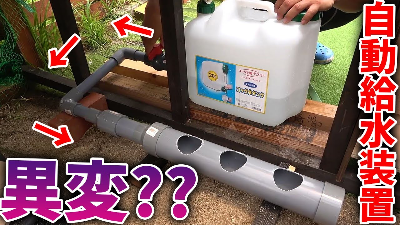 【DIY】自動給水機に異変が・・・！？