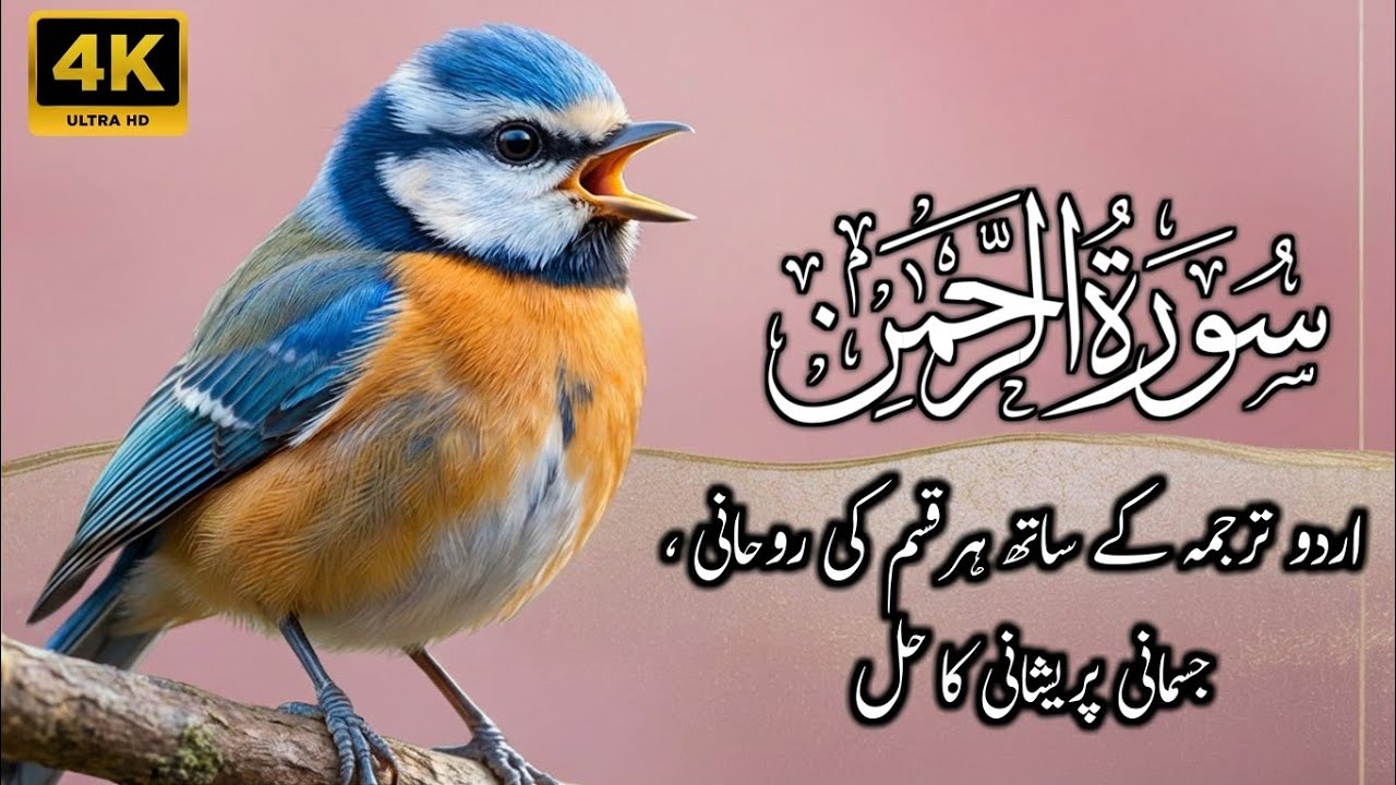 Surah Rahman With Urdu Translation | Surah Rahman Ki Tilawat Tarjuma Ke Sath | Ep 23