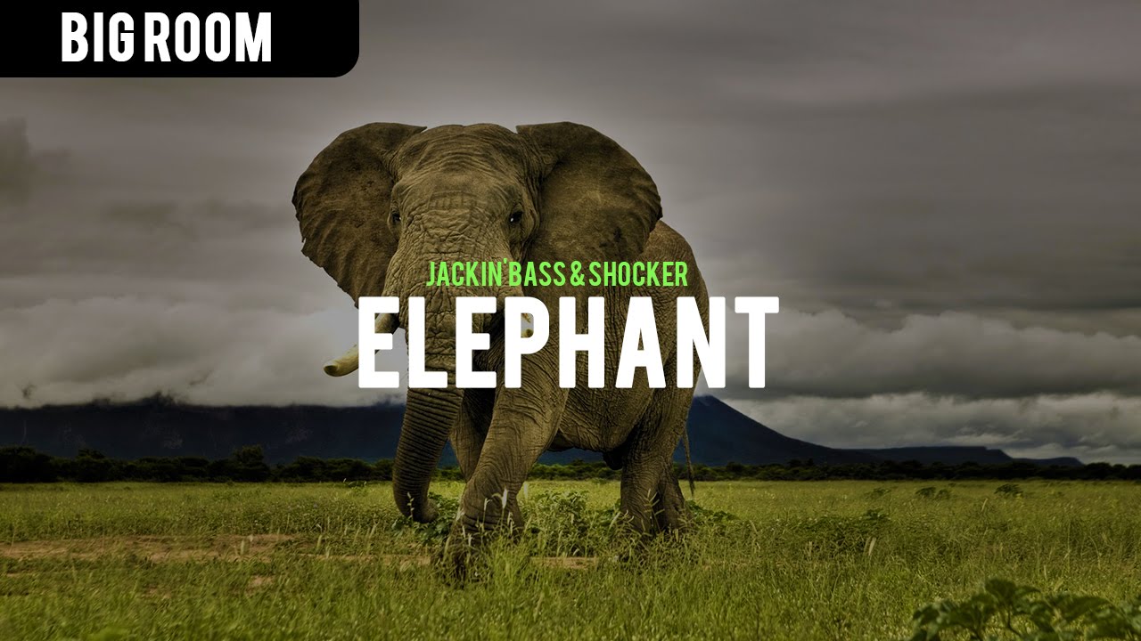 Jackin'Bass & Shocker - Elephant (Original Mix)