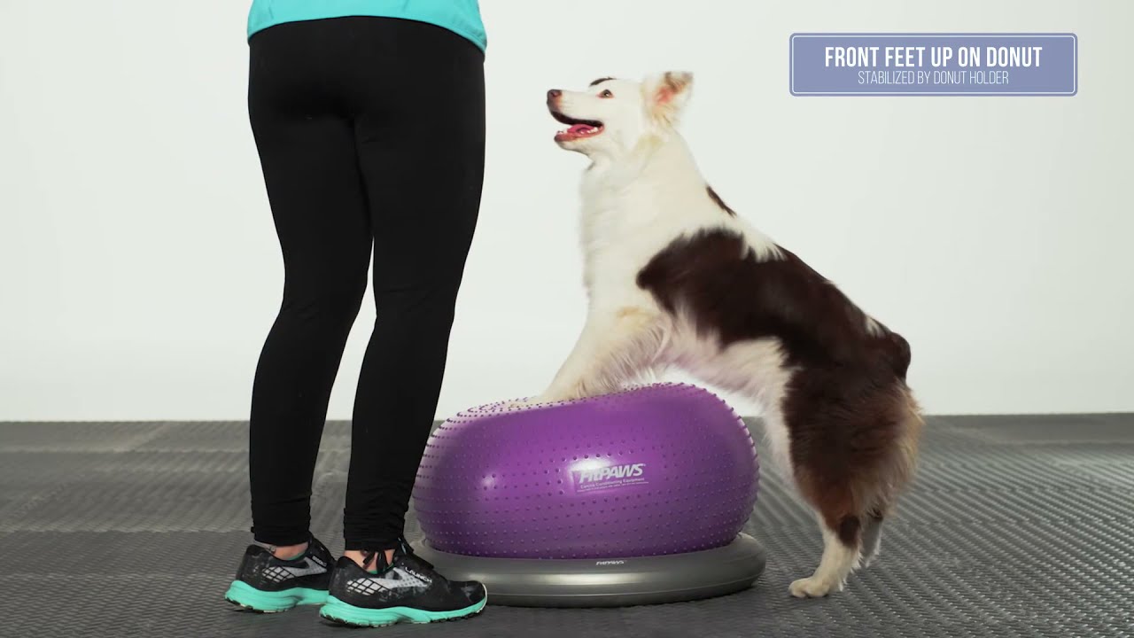 FitPaws® TRAX™ Donut with Donut Holder