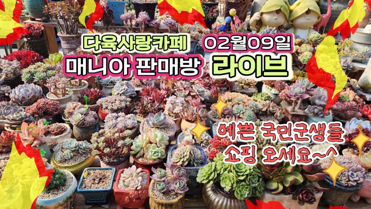 국민군생 맛집~한상 가득 준비 햇어요