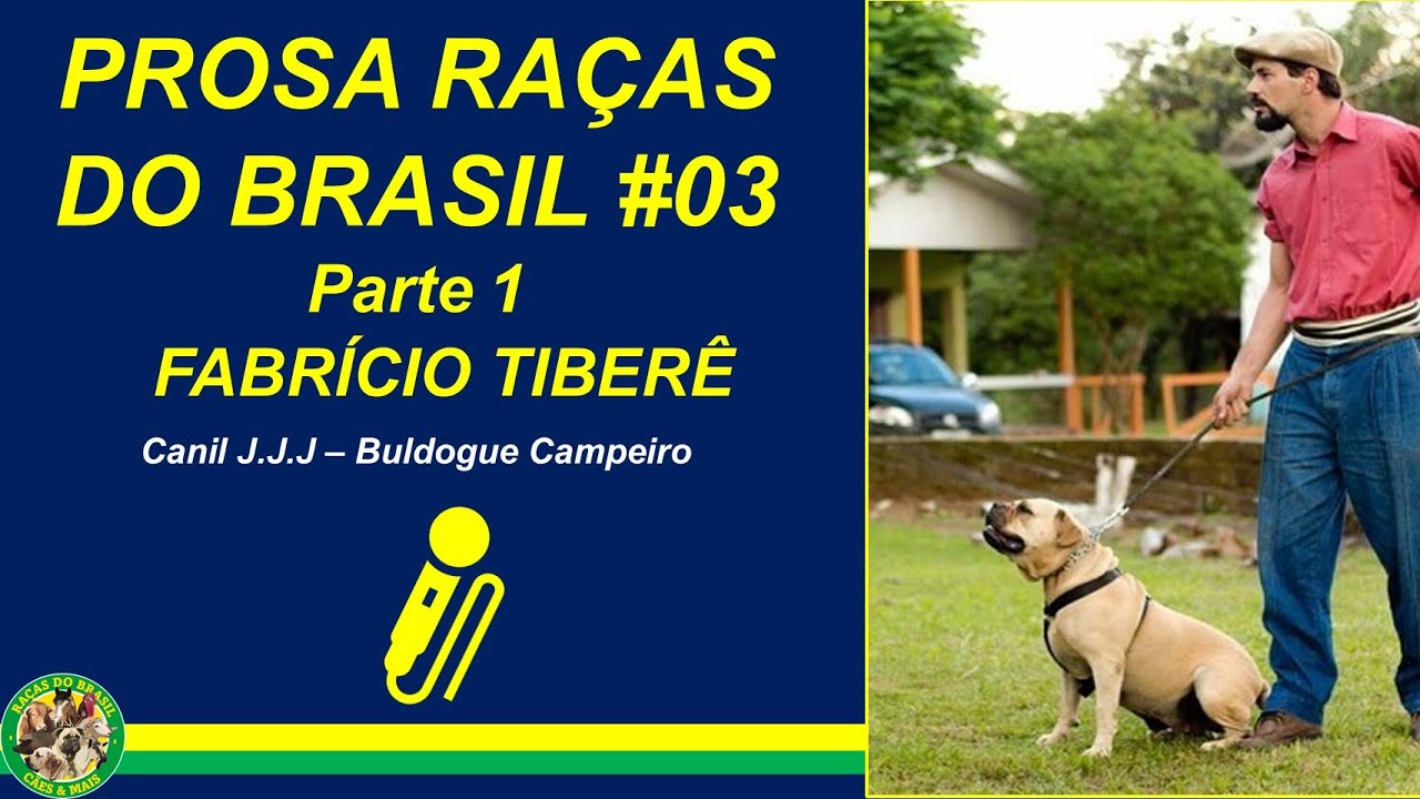 Prosa Raças do Brasil 03: Fabrício Tiberê - Canil J.J.J Buldogue Campeiro  (Parte 1)