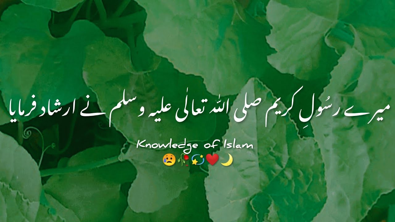 Nabi Pak ﷺ Ne Irshad Farmaya 🥀 Emotional Islamic Status ❤ By Peer Ajmal Raza Qadri