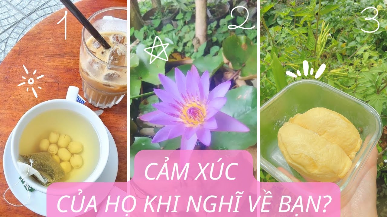 🔮CẢM XÚC CỦA HỌ KHI NGHĨ VỀ BẠN? - Chọn một tụ bài TAROT (timeless) 