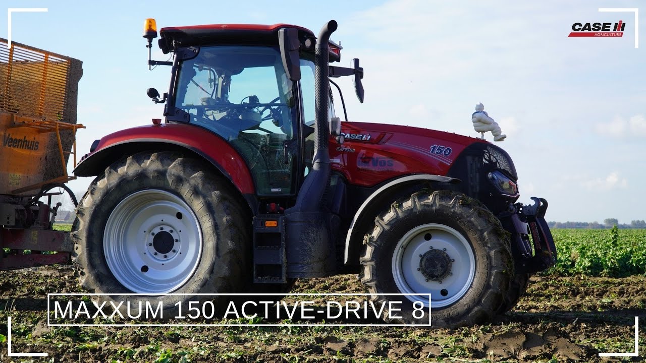 Maxxum 150 Active Drive 8 | oogst witlofwortelen | Hamoen LMB