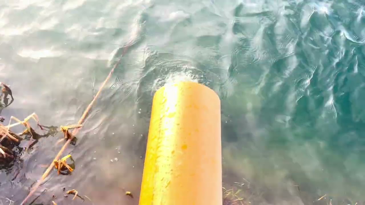Small Lake - Spring Stocking