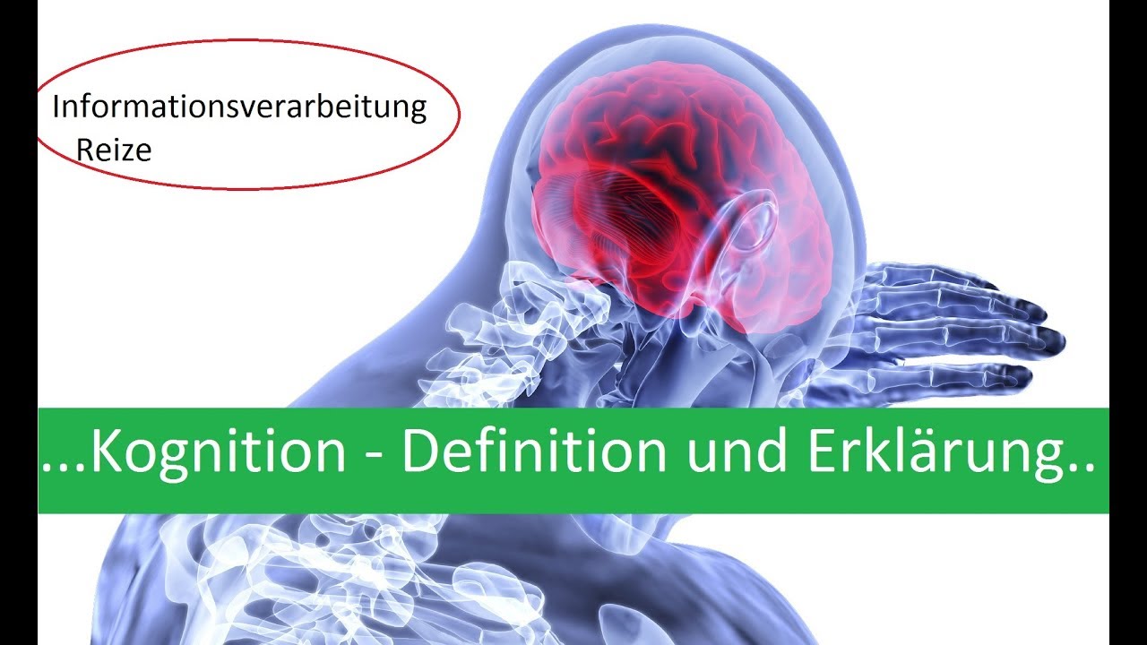Kognition - Definition und kurze Erkl&auml;rung (Informationsverarbeitung, was ist Kognition?)