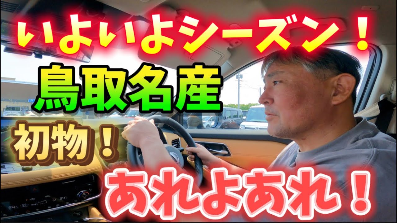 【2025】【大栄西瓜】鳥取名産の１つ！今年もきたぁぁ！鳥取大栄スイカ求め行ったが、そこには大きな落とし穴があった！