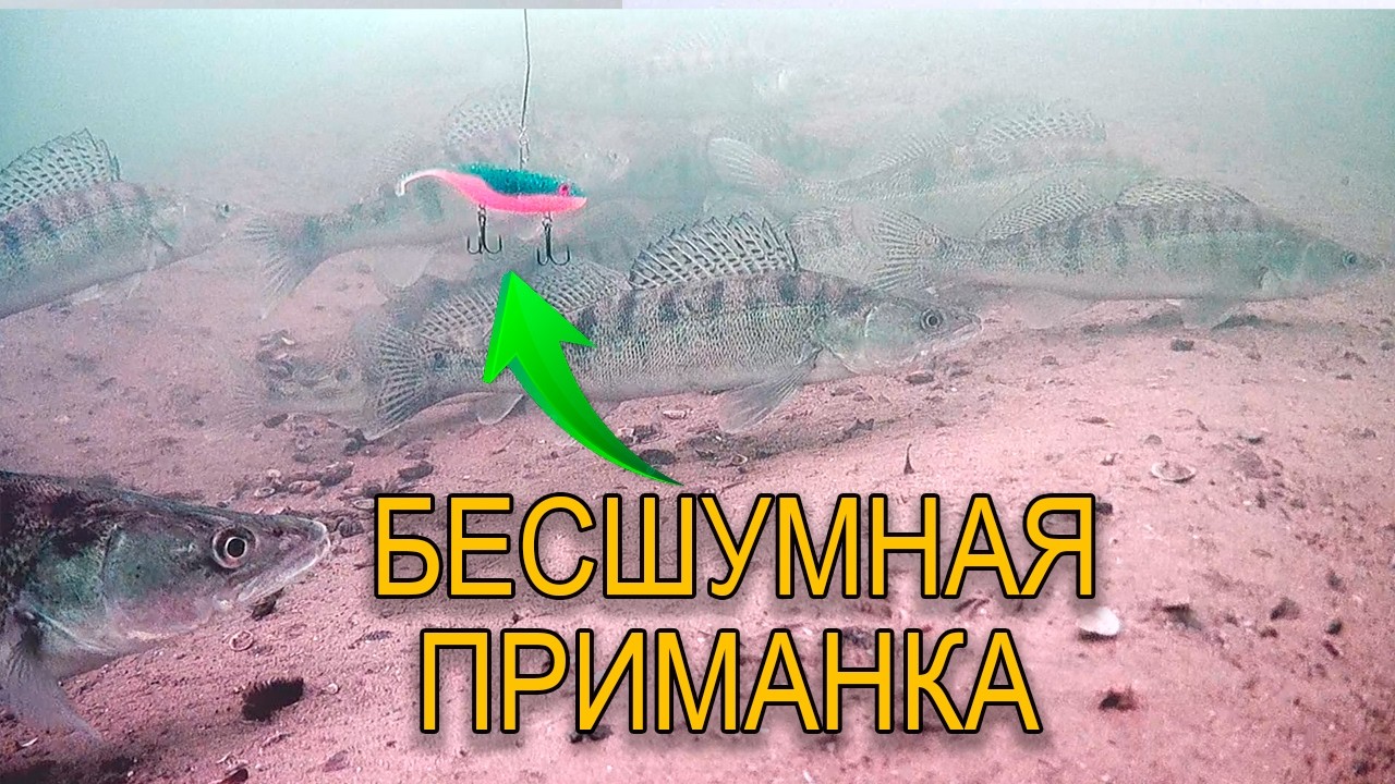 КАК СУДАК РЕАГИРУЕТ НА БЕСШУМНЫЕ ПРИМАНКИ? ПОДВОДНАЯ СЪЕМКА ЭСКПЕРИМЕНТА