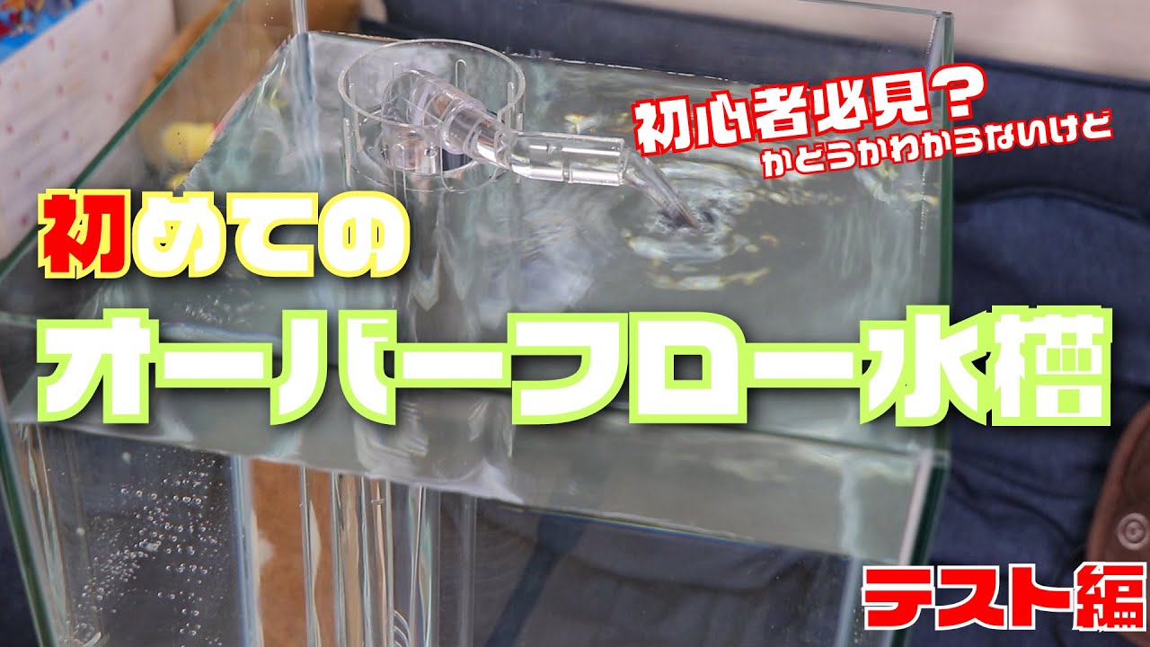 【アクアリウム】オーバーフロー初心者が一式買ってみた！